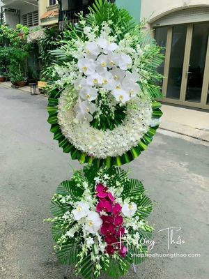 HTL006 - Một đời người