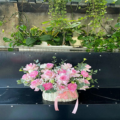 Shop hoa tươi Xã Bản Hồ Sa Pa Lào Cai