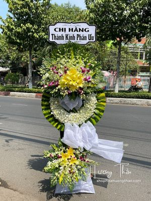 HTL013 - Về với cội nguồn