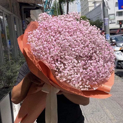 Dịch vụ hoa tươi Xã Tiên Hội Huyện Đại Từ Thái Nguyên