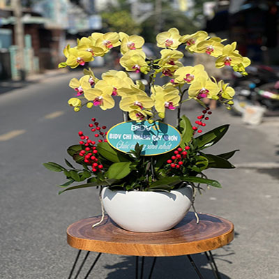 Dịch vụ hoa tươi Xã Kỳ Thượng Hạ Long Quảng Ninh