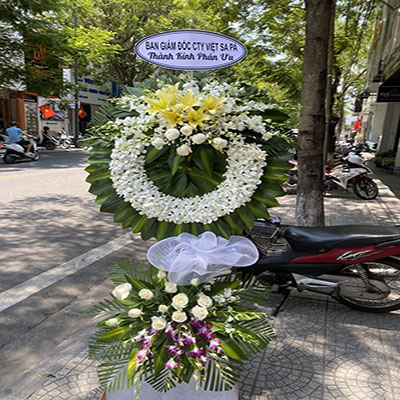 Dịch vụ hoa tươi Phường Hà Lầm Hạ Long Quảng Ninh