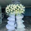 shop-hoa-tuoi-xa-thien-ke-binh-xuyen-vinh-phuc - ảnh nhỏ  1