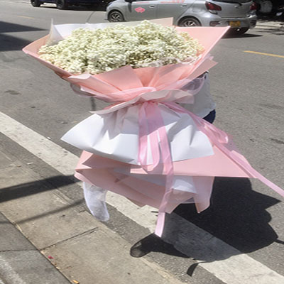 Shop hoa tươi Xã Kim Xá Vĩnh Tường Vĩnh Phúc