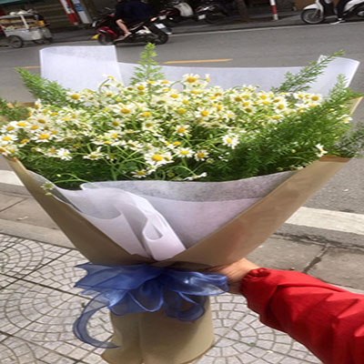 Shop hoa tươi Xã Chấn Hưng Vĩnh Tường Vĩnh Phúc