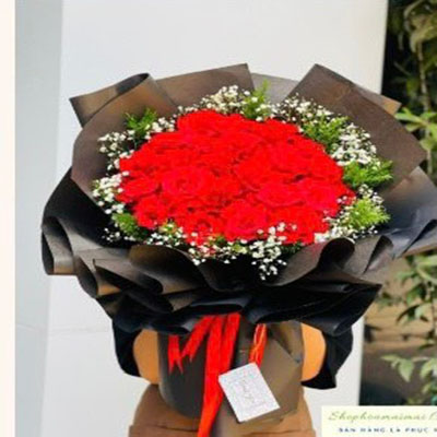 Shop hoa tươi Xã Tân Lập Sông Lô Vĩnh Phúc