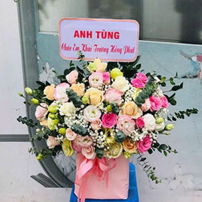 Shop hoa tươi Phường Cẩm Thượng Hải Dương