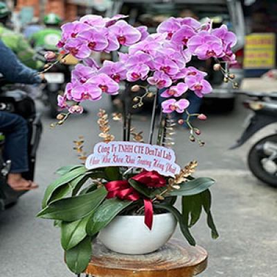 Shop hoa tươi Phường Trần Hưng Đạo Hải Dương