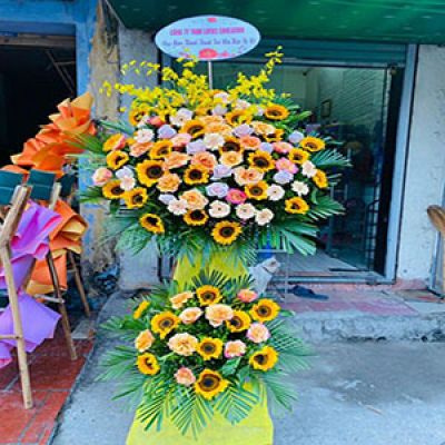 Shop hoa tươi  Hải Dương