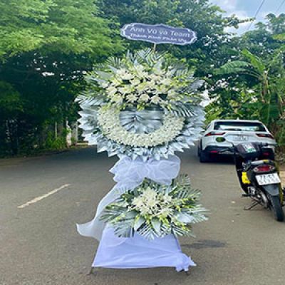 Shop hoa tươi Phường An Phụ Kinh Môn Hải Dương