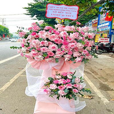 Shop hoa tươi Xã Dân Chủ Tứ Kỳ Hải Dương