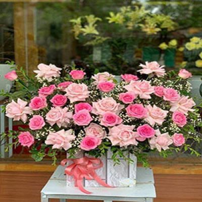 Tiệm hoa tươi phường Phan Bội Châu Hồng Bàng Hải Phòng