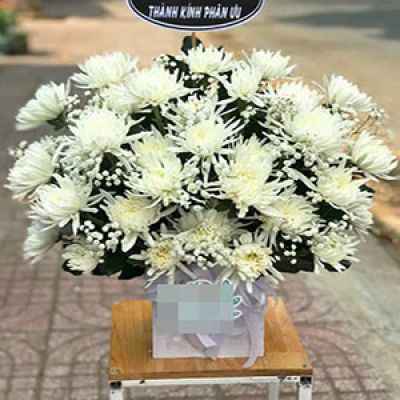 Tiệm hoa tươi phường Đồng Hòa Kiến An Hải Phòng