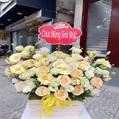 Tiệm hoa tươi xã Thái Sơn An Lão Hải Phòng