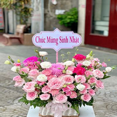 Tiệm hoa tươi xã Mỹ Đức An Lão Hải Phòng