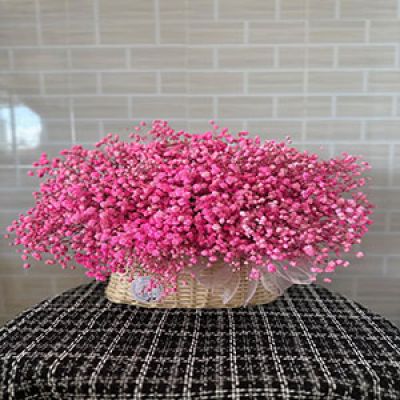 Tiệm hoa tươi Phường Minh Khai Thành phố Hưng Yên
