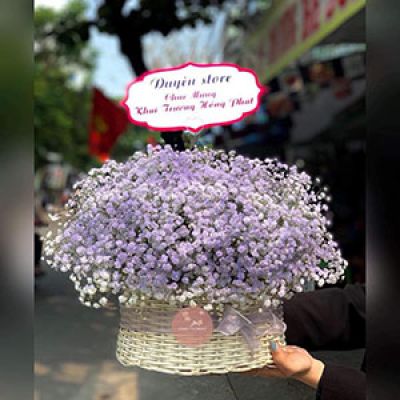 Tiệm hoa tươi Xã Minh Châu Yên Mỹ Hưng Yên