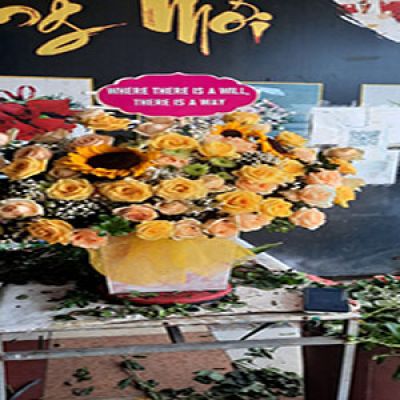 Dịch vụ hoa tươi Xã Đông Kinh Đông Hưng Thái Bình