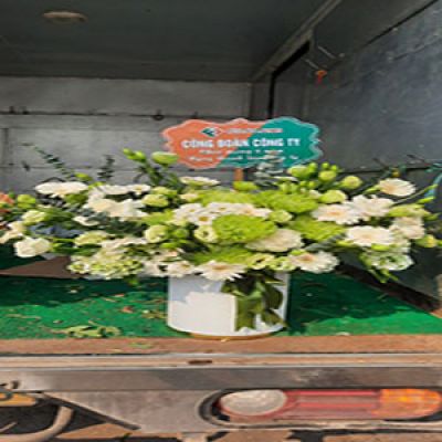Dịch vụ hoa tươi Xã Thụy Hưng Thái Thụy Thái Bình