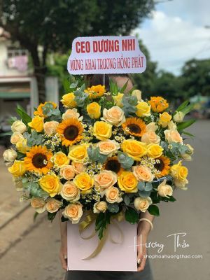 HG007 - Ánh dương