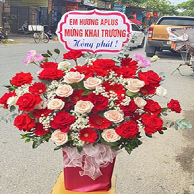 Dịch vụ hoa tươi Xã Nam Thanh Tiền Hải Thái Bình