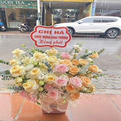 Dịch vụ hoa tươi Xã Nam Phú Tiền Hải Thái Bình