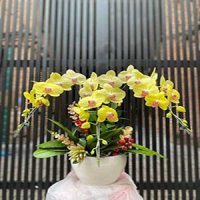 Dịch vụ hoa tươi Xã Hồng Thái Kiến Xương Thái Bình