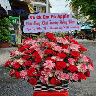 Dịch vụ hoa tươi Xã Tân Hòa Vũ Thư Thái Bình