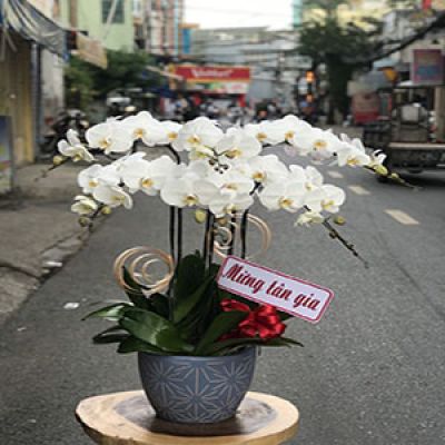 Dịch vụ hoa tươi Xã Khả Phong Kim Bảng Hà Nam