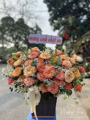 Mèo thần tài - HG078