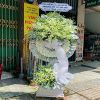 shop-hoa-tuoi-phuong-quang-cat-thanh-hoa - ảnh nhỏ  1