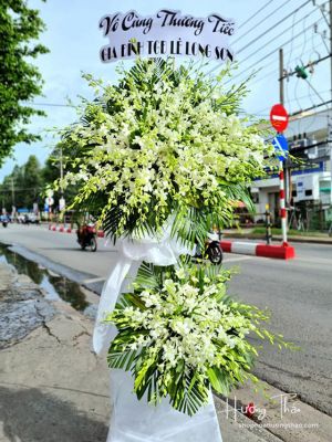 Chân trời - HTL033