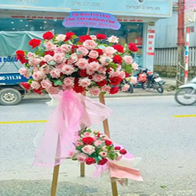 Shop hoa tươi Xã Đông Thịnh Đông Sơn Thanh Hóa