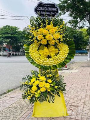 Đưa bước - HTL086