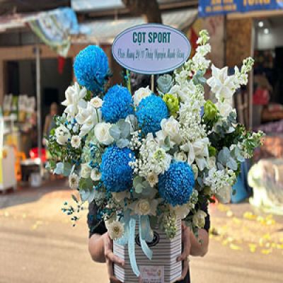 Dịch vụ hoa tươi Xã Bùi La Nhân Đức Thọ Hà Tĩnh