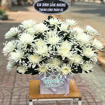 Dịch vụ hoa tươi Xã Cẩm Hưng Cẩm Xuyên Hà Tĩnh