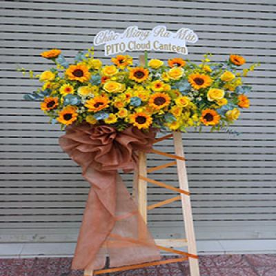 Dịch vụ hoa tươi Phường Đồng Sơn Đồng Hới Quảng Bình