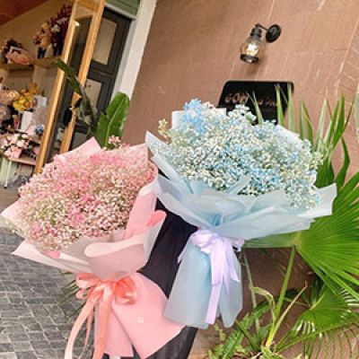 Dịch vụ hoa tươi Xã An Thủy Lệ Thủy Quảng Bình