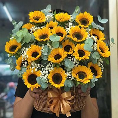 Dịch vụ hoa tươi Xã Hàm Ninh Quảng Ninh Quảng Bình