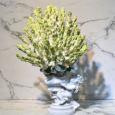 Dịch vụ hoa tươi Xã Bình Minh Bình Sơn Quảng Ngãi