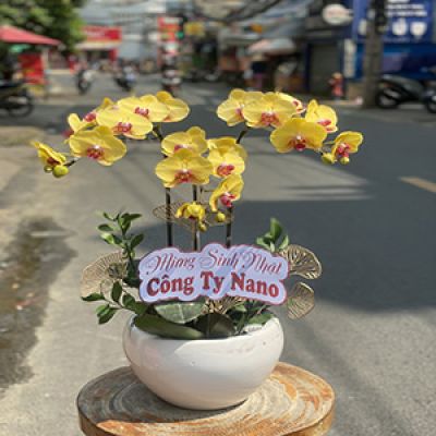 Dịch vụ hoa tươi Xã Hành Dũng Nghĩa Hành Quảng Ngãi