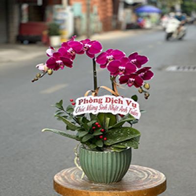 Dịch vụ hoa tươi Xã Nghĩa Hiệp Tư Nghĩa Quảng Ngãi