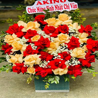 Dịch vụ hoa tươi phường Tây Sơn Pleiku Gia Lai