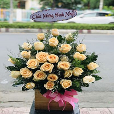 Dịch vụ hoa tươi phường Phường 11 Vũng Tàu 