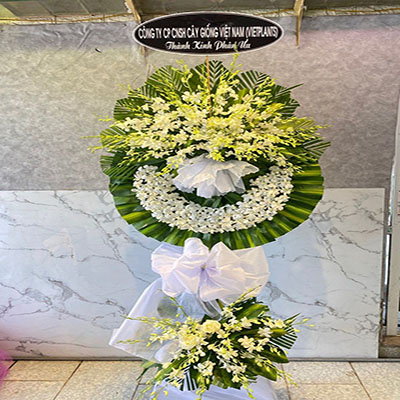 Dịch vụ hoa tươi Xã Dục Tú Đông Anh Hà Nội