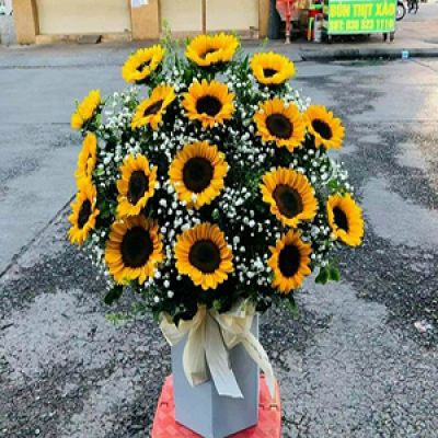 Dịch vụ hoa tươi xã Vĩnh Bửu Tân Hưng Long An