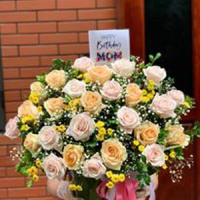 Shop hoa tươi phường Phường 2 Bến Tre 