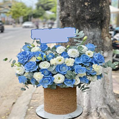 Shop hoa tươi xã Hòa Minh Châu Thành Trà Vinh 