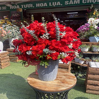 Shop hoa tươi xã Tập Sơn Trà Cú Trà Vinh 