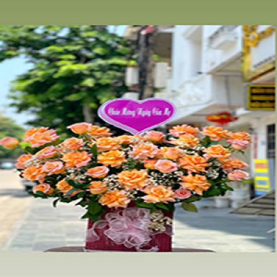 Shop hoa tươi xã Hiếu Thành Vũng Liêm Vĩnh Long 